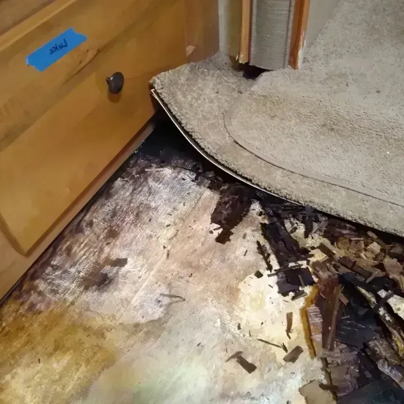 Wood Floor Water Damage in The Plains, OH